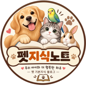 펫지식공유